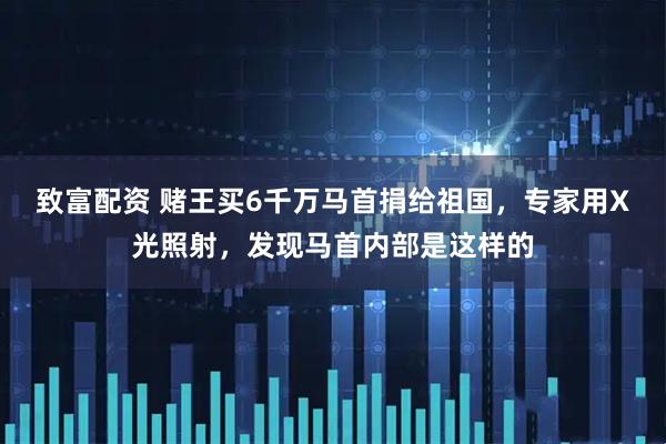 致富配资 赌王买6千万马首捐给祖国，专家用X光照射，发现马首内部是这样的