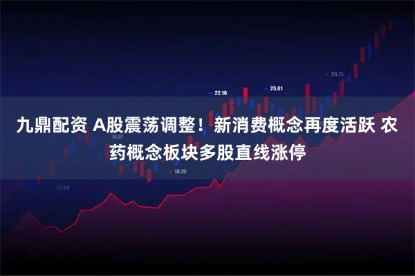 九鼎配资 A股震荡调整！新消费概念再度活跃 农药概念板块多股直线涨停