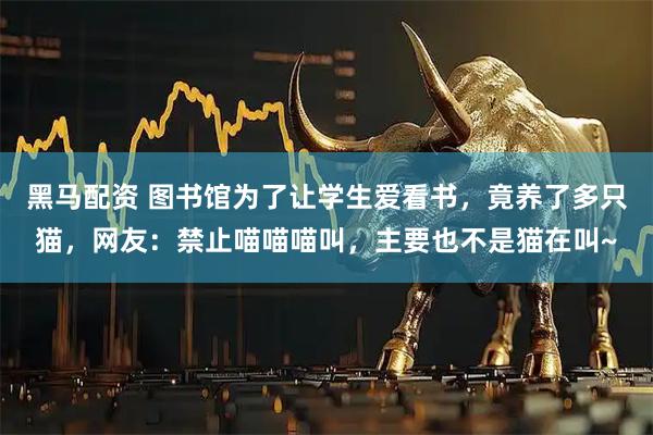 黑马配资 图书馆为了让学生爱看书，竟养了多只猫，网友：禁止喵喵喵叫，主要也不是猫在叫~
